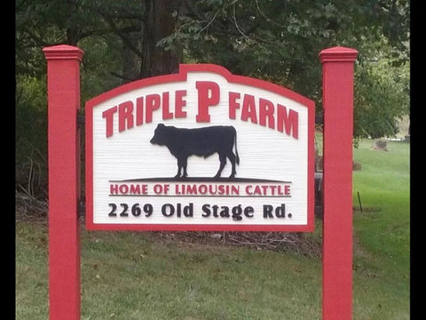 Sign project